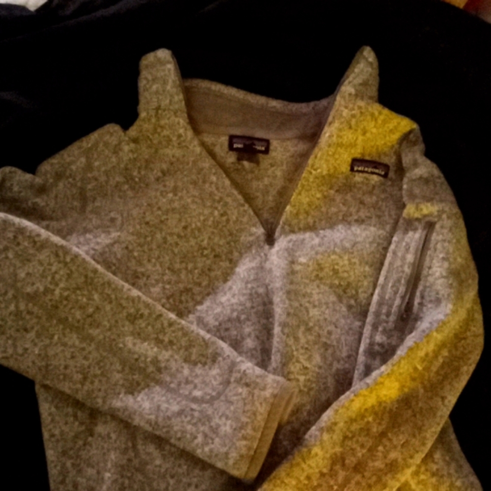 Patagonia zip up